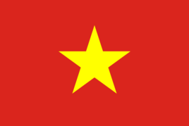 越南 90天单次商务签