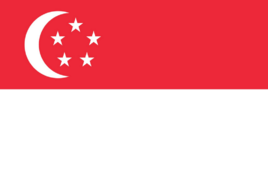 新加坡 电子签证加急