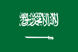 沙特 商务签证(包签保过)