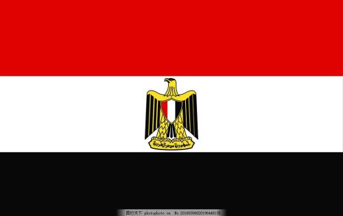 埃及 商务签证(简易材料)
