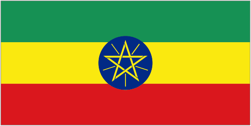 埃塞俄比亚 商务签证