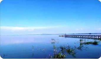 孝感万亩桃花杨店观音湖一日游