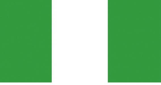尼日利亚 商务签证
