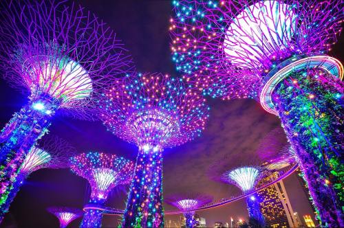 新加坡亲子游5日游 童梦双园环球影城动物园科技馆海洋馆